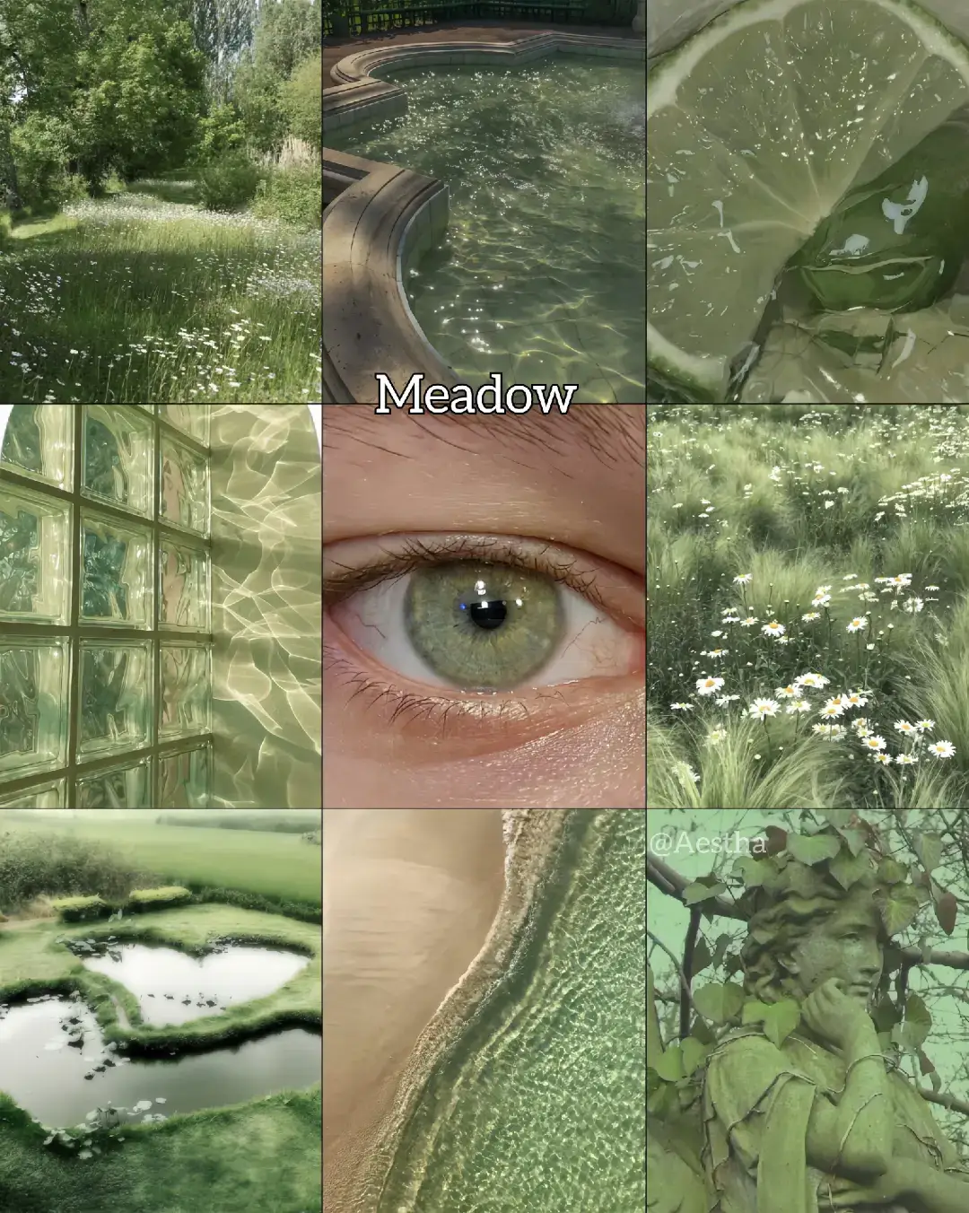 #eyes #greeneyes💚 #eyeaesthetic #aestheticvibes #aesthetics #aesthetic #meadow #moss #gemstone #jade #spring #seagreen 