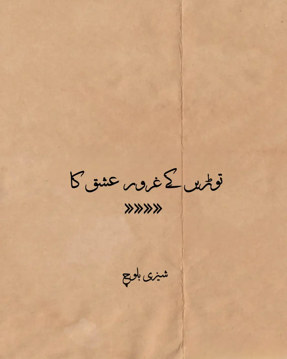 توڑیں گے غرور عشق کا  ہم اس قدر سدھر جائیں گے کھڑی رہے گی محبت راستے میں ہم سامنے سے گزر جائیں گے  #quotes #shayri #shazybalouch 