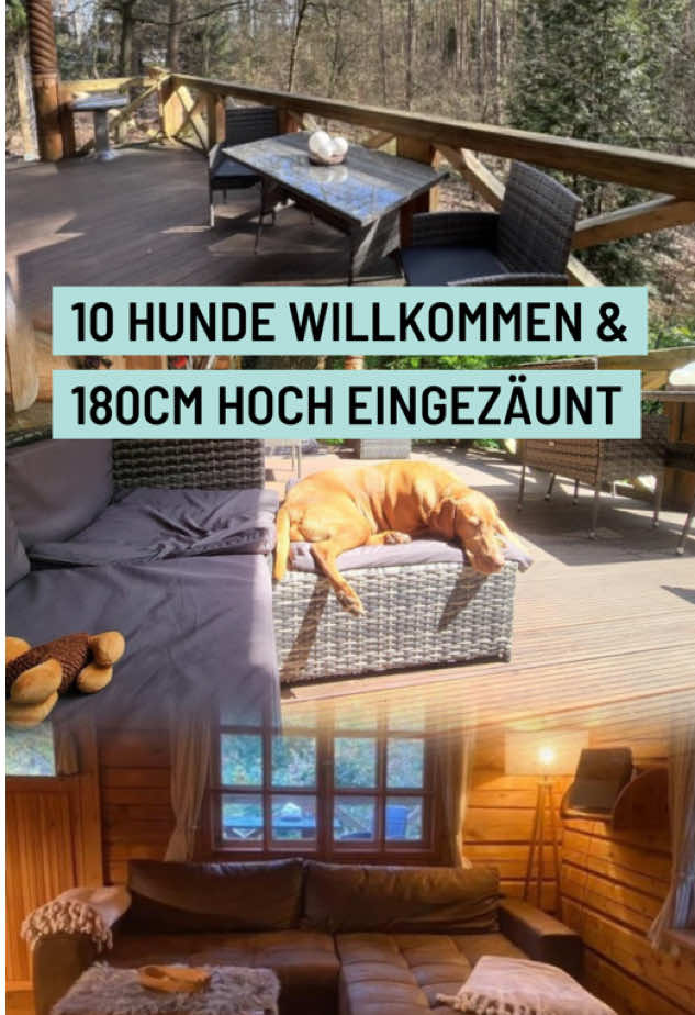 ❗️10 Hunde willkommen & 180cm hoch eingezäunt❗️  PFÖTCHENURLAUB 🐾🐾 im „BLOCKHÄUSLE“ 🌳 für 2 Personen und Fellnasen, in der Lüneburger Heide im Wald zwischen Heide, Pfifferlingen , Seen, Teiche & Elbe... das gesamte Rudel, ist willkommen. Inklusive: 📍Bettwäsche inklusive  📍Handtücher inklusive  📍WLAN inklusive  📍Pfötchen urlauben kostenfrei   📍Reinigung inklusive  📍Grill  📍Hundehandtücher  📍Nebenkosten inklusive  📍Hundedecken 📍alle Verbrauchsartikel inklusive  📍Hundebuggys 📍sehr große Terasse mit tollem Waldblick 📍eingezäunt 1.80m Wunderschöne, auch einsame Sandbuchten an der Elbe.🔆🐾🐾 Ruhe, Idylle ... 🐾🐾🎋 Ein Teilgrundstück (Zugang von der Terasse und 1 Tor) ist eingezäunt, 1.80 hoch. Das  große Waldgrundstück liegt in Alleinlage im Wald.  Hier kann der Hund noch Hund sein.🐾🐶🐾 Auch Platz zum Buddeln gibt es hier und noch viel mehr. Das alle Fellnasen auch hier bei uns willkommen sind, versteht sich von selbst, unabhängig von Rasse und Größe. Man kommt in unser Blockhäusle 🏘️🌿 und befindet sich im offenen Wohn-und Küchenbereich. Im Wohnzimmer mit einer ausziehbaren Schlafcouch zum Kuscheln und einer gemütlichen großen Essecke, TV u.v.m..und Kamin lässt es sich gemütlich urlauben. Vom Wohnzimmer geht es in das Schlafzimmer und Badezimmer mit Dusche. Eine sehr große möblierte Terasse, eine Feuerschale sowie ein Grill stehen zur Verfügung. Für alle Fellnasen stehen Näpfe, Kratzbaum, Katzentoilette, Hundedecken und Hundehandtücher kostenfrei zur Verfügung. 🔎 Inserat ID 15931 auf hundeurlaub.de (Link auch oben in der Bio bzw. in der Story)⁠ *Einfach die ID-Nummer 15931 in das Suchfeld auf unserer Webseite www.hundeurlaub.de eingeben und ihr gelangt direkt zur hier vorgestellten Unterkunft. #lüneburgerheide #blockhäusle #blockhaus #ferienhaus #urlaubmithund #hundeurlaub #wandernmithund 