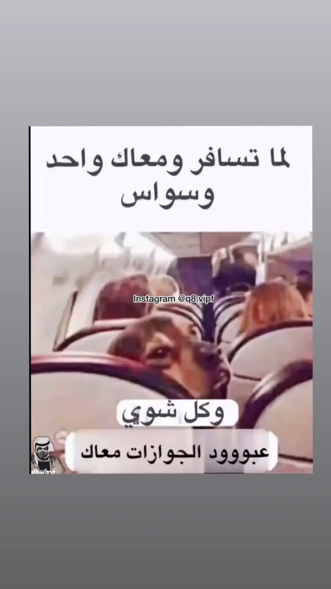 #الشعب_الصيني_ماله_حل😂😂قتاباسات🌴🖤كسبلوررررررررررررر🥰🥰💞💞🥰🥰 