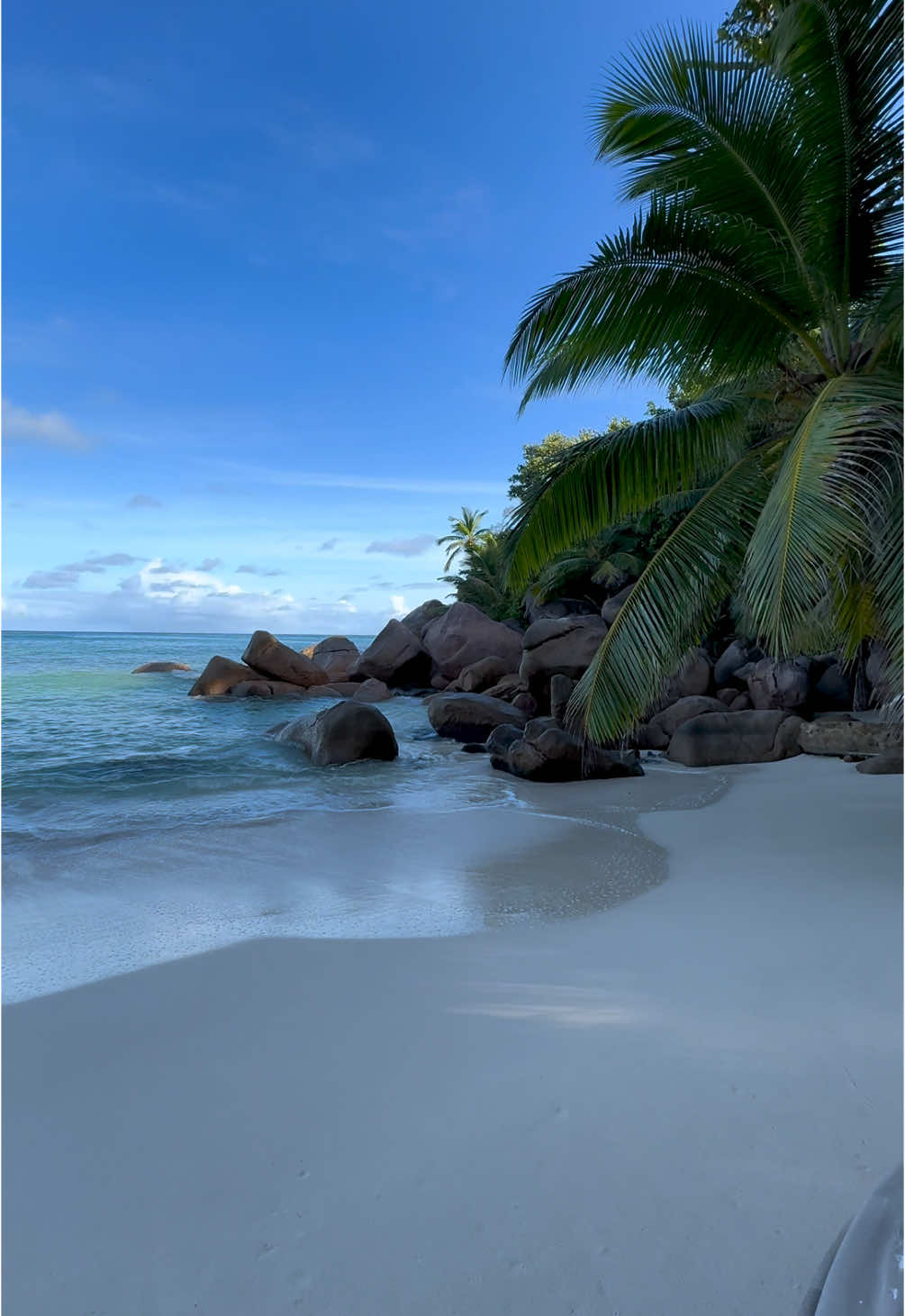 Peaceful place 😌🌴☀️ #seychelles #hotels #constance #praslin #peaceful #tropical #ocean #beautifuldestinations #naturesounds #palmtrees #plage #beachlife #dream #bucketlisttravel #traveltok #easthetic #calm #fry #fryp 