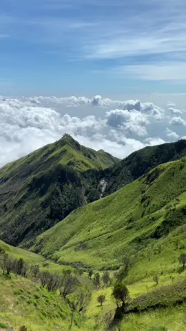 Persiapkan gear kalian , semoga ga akan lama lagi akan ada kabar baik untuk kalian yang sudah menantikan pembukaan jalur pendakian merbabu 🔥 #merbabu3142mdpl #merbabuviasuwanting #fyp #virał #pendakigunung #merbabumountain #merbabu #pendakiindonesia #gunungmerbabu #WeekendVibes #gunungmerbabuviasuwanting #weekend #gunungmerbabuviasuwanting #suwantingbikinsinting 