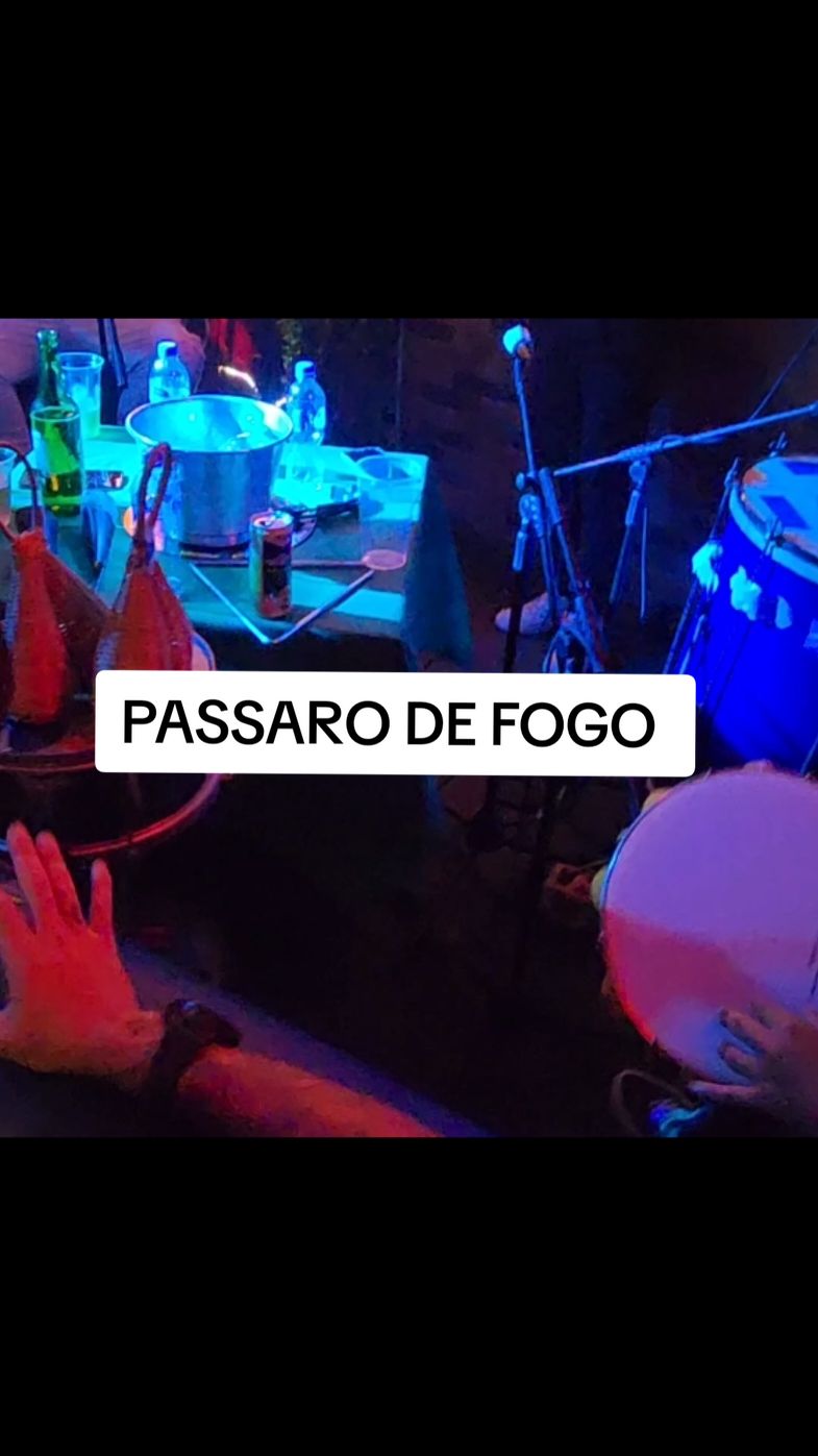 #sambaepagode #passarodefogo #pagode #pagodebrega 