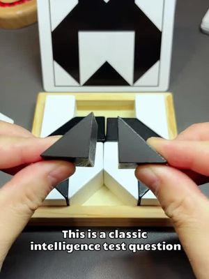Educational Toys Challenge Hidden Blocks Level 49, Think About The Problem From Different Angles.