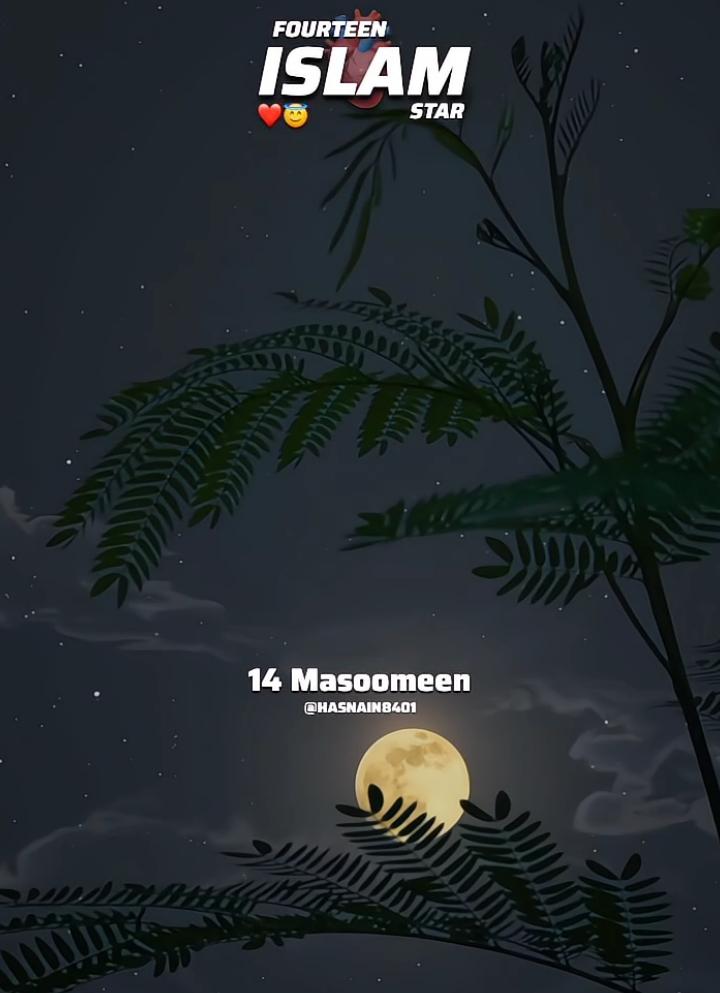 Fourteen Star In Islam 😇❤️ 14 Masoomeen Whatsapp Status  . . . #nadeemsarwar#FarhanAliwaris#MirHasanMir#ForYou  #Hussainimedia  #Alishanawar  #alijee  #hussaini  #momino  #karbala  #moulaali  #noha  #status  #nohastatus  #fypシ  #viral  #viralvideo  #tiktok  #edit  #yahussainعُ🙏🏻🚩🚩 