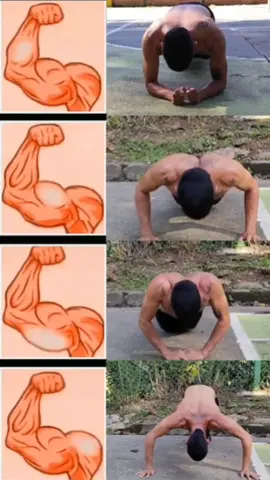 ¡HAZ ESTOS para desarrollar bíceps MÁS GRANDES en casa! . . . #calisthenics #flexiones #pushups #workout #gym #Fitness #calistenia #parati #Gym #pechadas #diciplina #superacionpersonal #mentepositiva #motivacion #calisteniadesdecero #biceps #triceps 