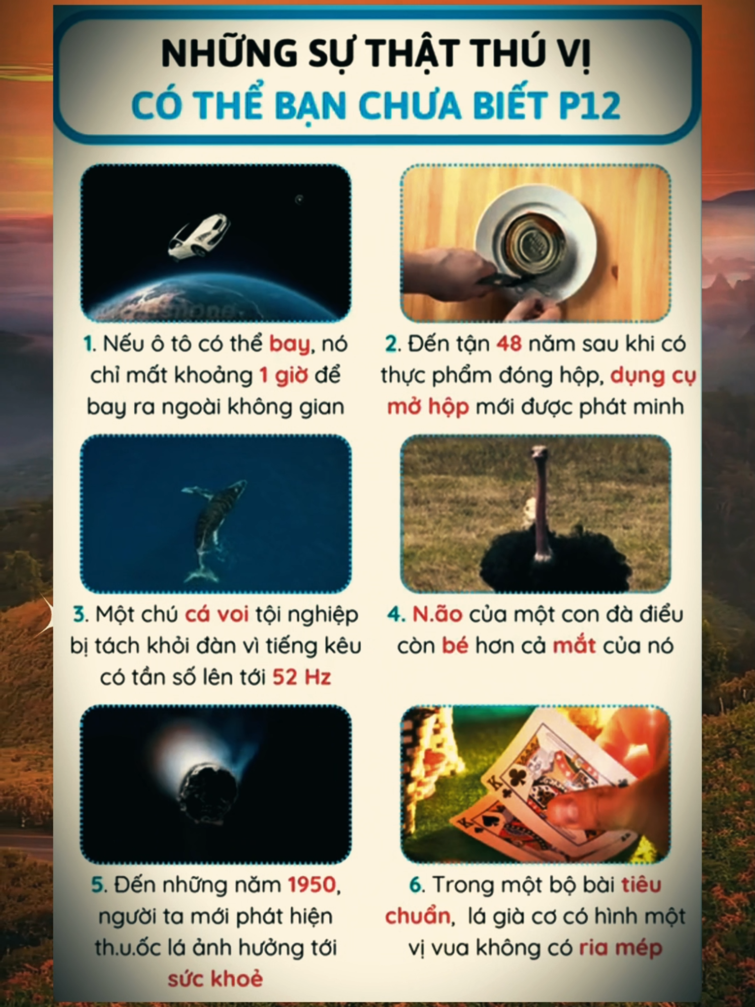 Những sự thật thú vị có thể bạn chưa biết P12 #cothebanchuabiet #suthatthuvi #LearnOnTikTok #vtvcab #fyp #xuhuong #xuhuongtiktok