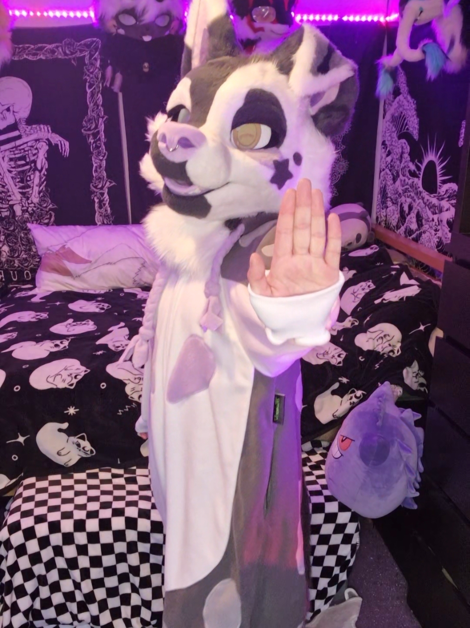 Get that fucking bagggg, seriously must be such an honour knowing people love their work to pay that much, so happy for them ♡ #zuristudios #fursuitauction #dealersden #furry #fursuit #furryfandom #furrytiktok #multisuiter #puppyfursuit #kigurumi #kemonomimi 