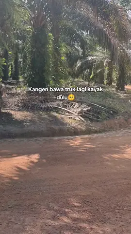 Nikmatin aja dulu nanti pasti ada kesempatan lagi kita bawa truk☺️ #fyp #lewatbranda #drivermuda #sopirtruk #storydriver #trukkalimantan 