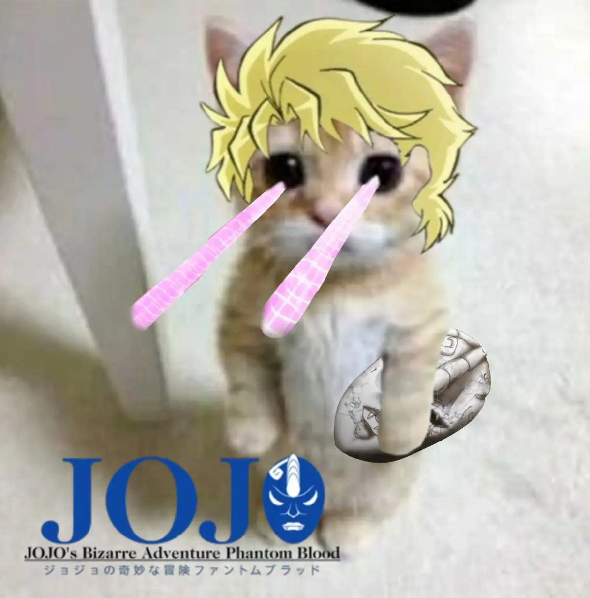 Kono Miaou Daaa!!! #jjba #cats #jojo