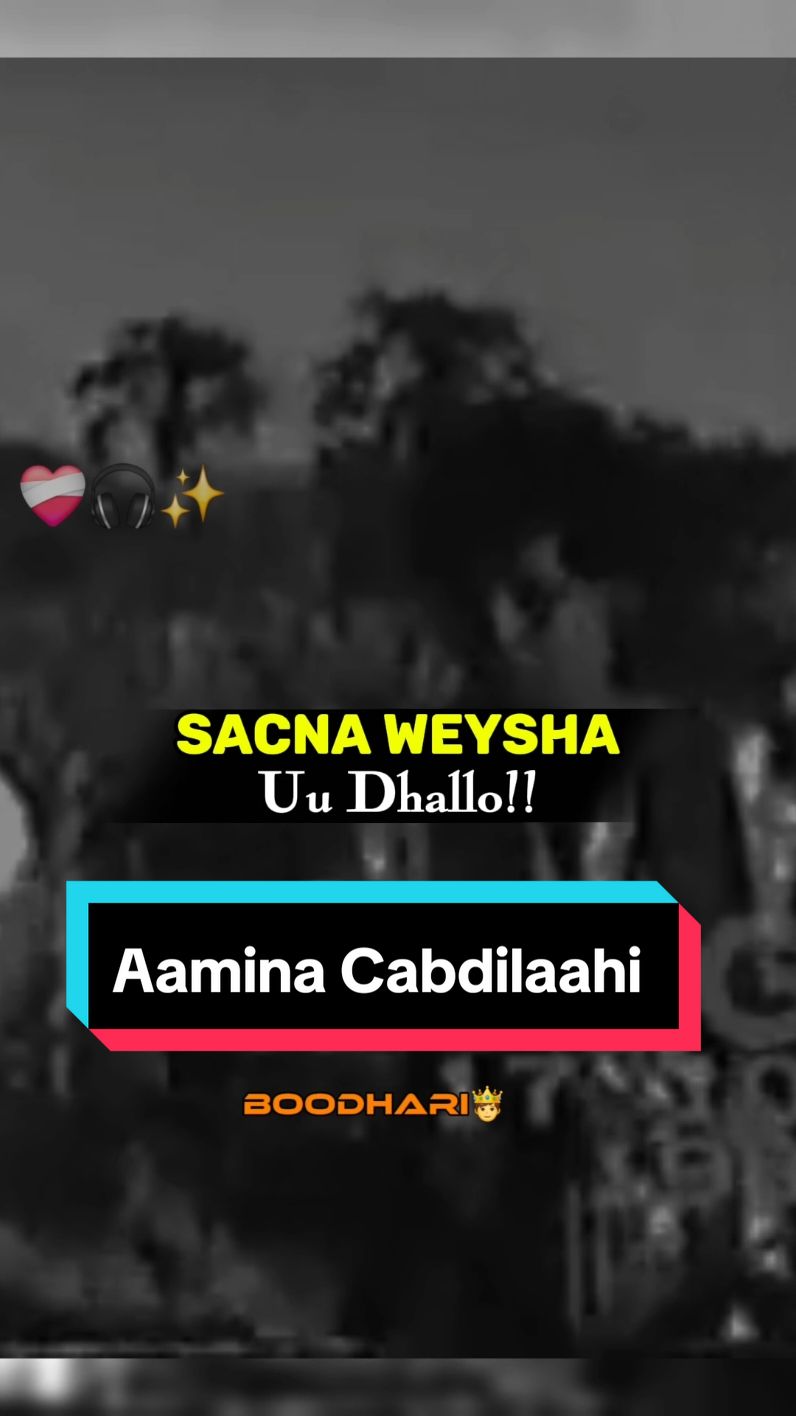 200k Adigaa ka dhiman🥳💯 #somalimusic #lyrics_songs #somalisong #kaban 