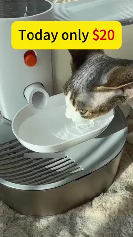 A pet water fountain that doesnt require a filter change  and every sip your cat takes is fresh water #tiktokmerchandise 
