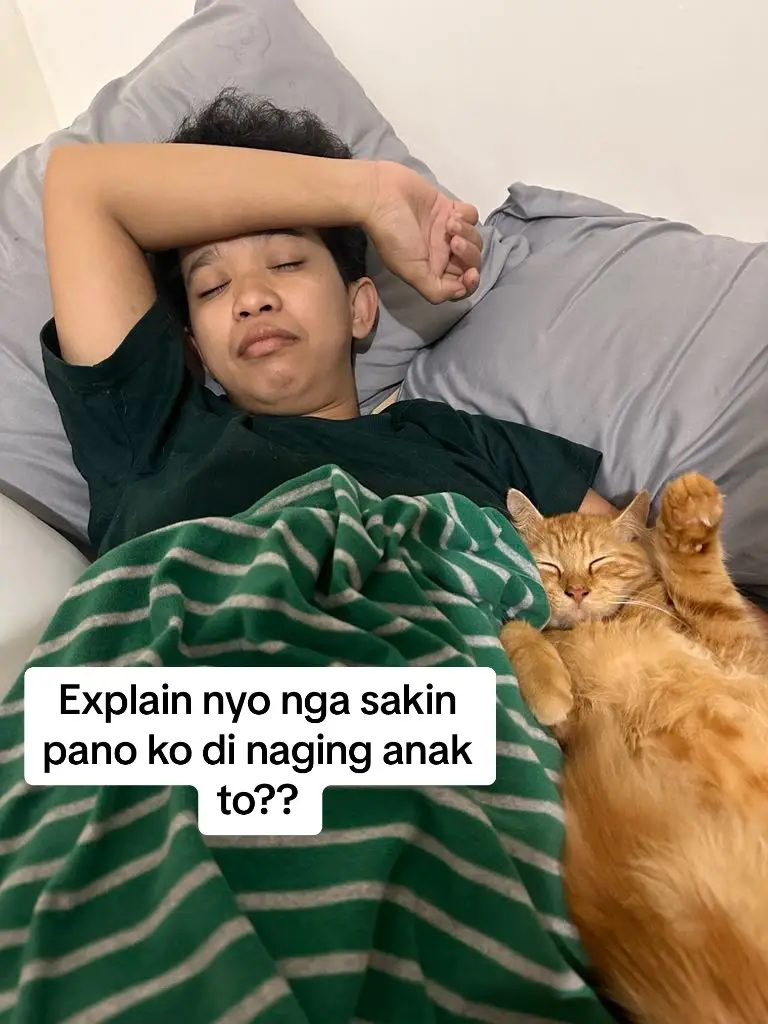 Kulang na lng maging orange din ako #cats #catsoftiktok #pets #clingycats #fyp #pusanginanggala #orangecat 