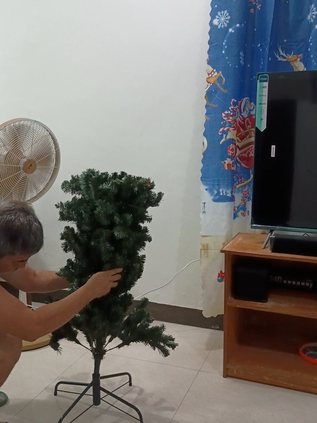 Thankful at di tumuloy ang Bagyong #Pepito kaya nag setup na ng Christmas tree #christmasdecor #christmastree  #xmasdecor #xmadecorunder1k 