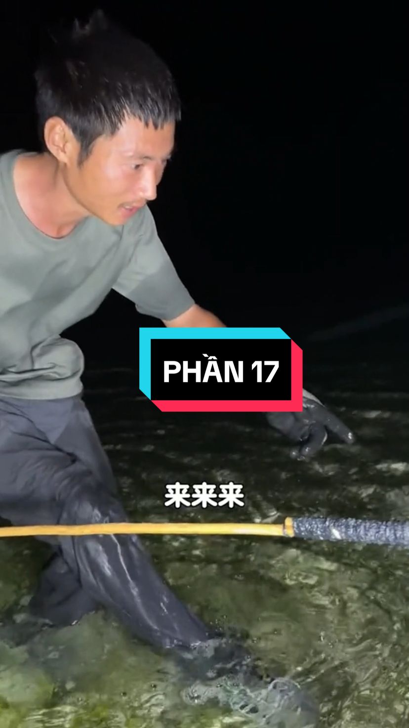 Phần 17 | Sinh tồn trên đảo Sa Mạc ở Châu Phi. #xuhuong #thiennhien  #sinhton 