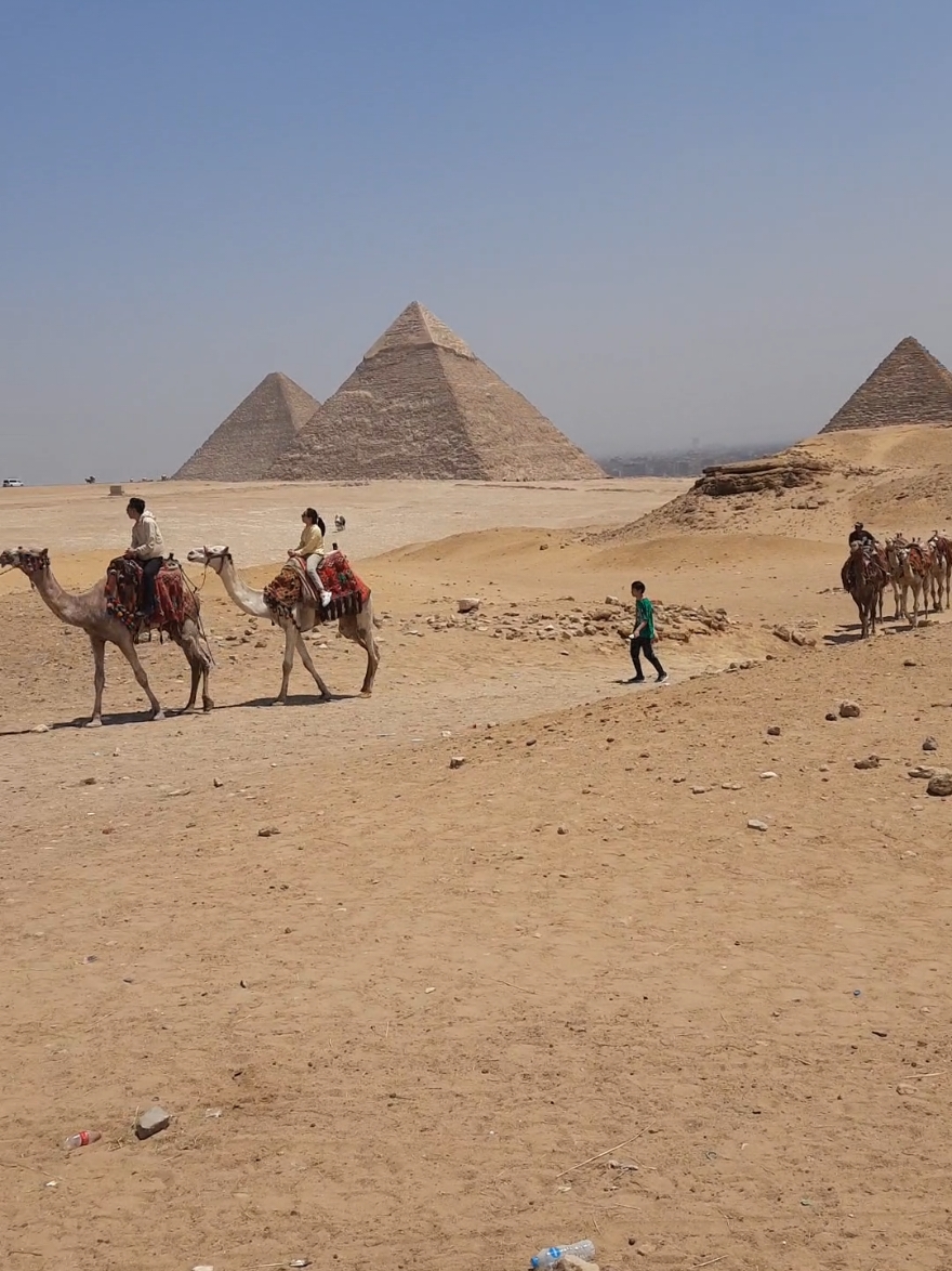 #camel #ride at the #pyramids #egypt #travel #رحلة #جمل فى #الاهرامات 