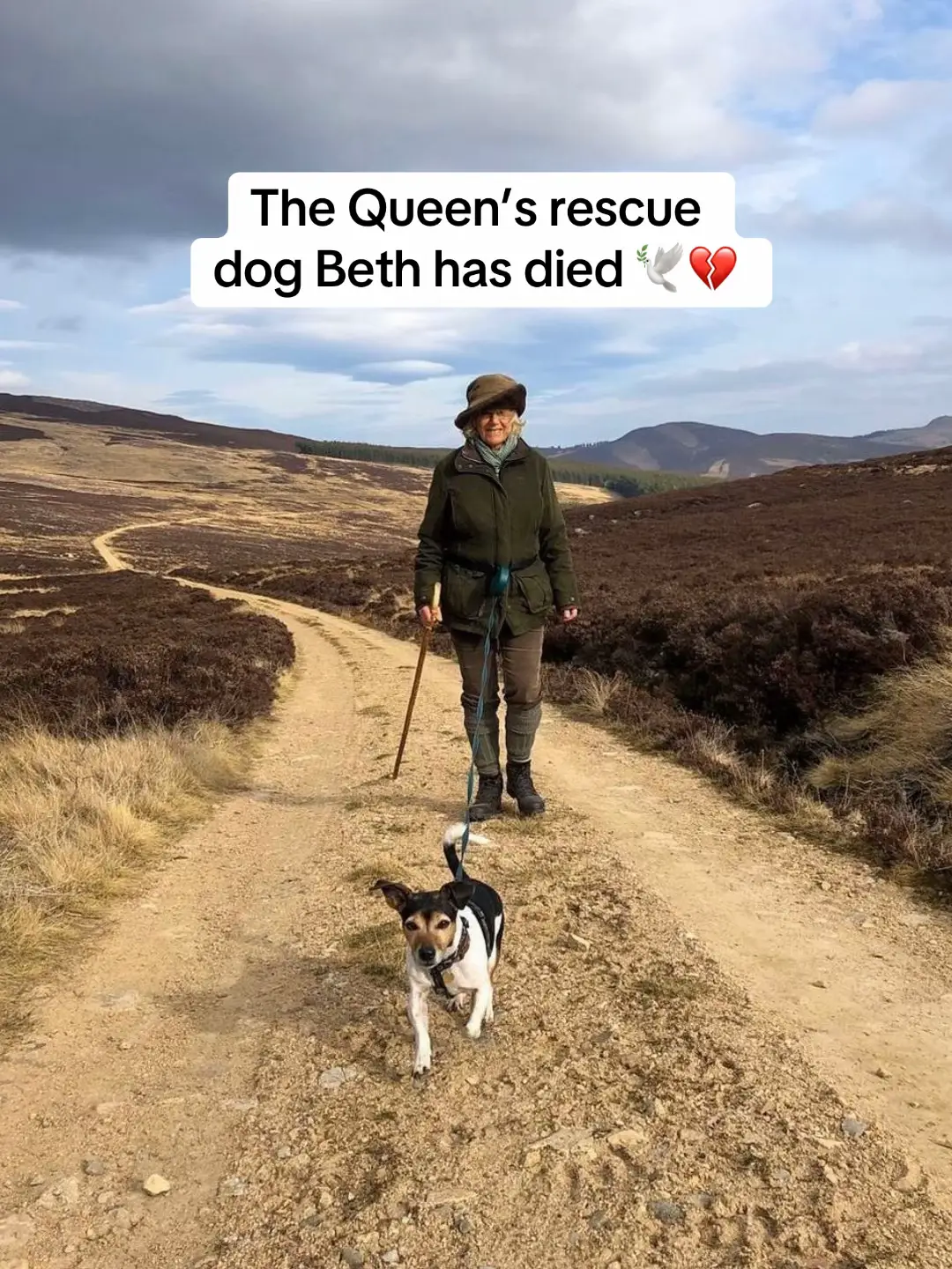 Queen Camilla's beloved rescue dog Beth has died 😞 Her Majesty, 77, adopted Beth from Battersea Dogs and Cats Home, in South London, in 2011 and fellow Jack Russell terrier Bluebell joined the family the following year. This afternoon Buckingham Palace revealed that she had passed away. 'A sad farewell to Beth, The Queen’s much-loved companion from Battersea Dogs and Cats Home who brought such joy, whether on walkies, helping on official duties, or curled up by the fire', a spokesman said. The Royal Family also shared a series of candid pictures of the King and Queen with Beth, including footage of the Jack Russell helping with an official opening. 💔