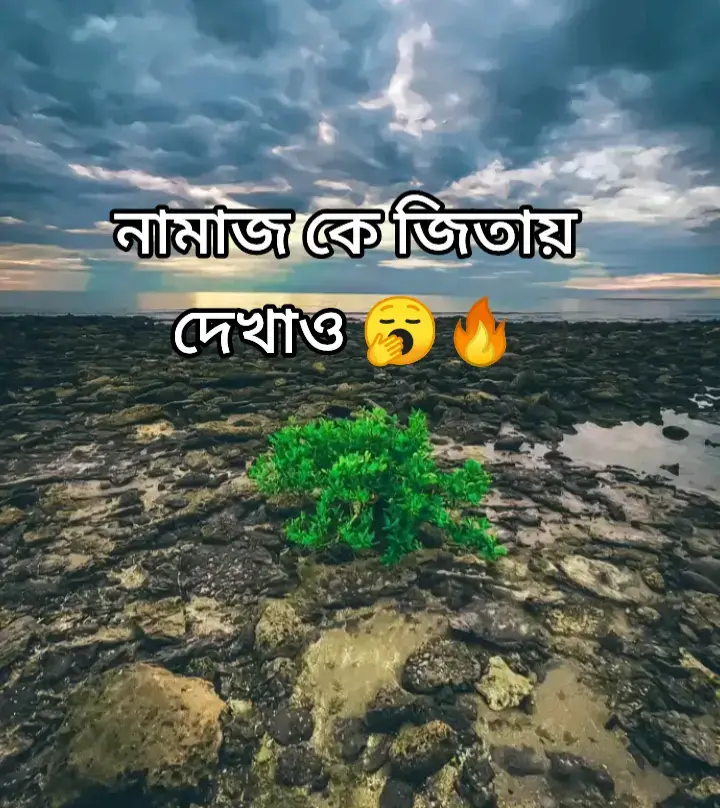 জিতিয়ে দেখাও 🥱🔥👽 #Foryou #tiktok #foryou #foryoupage  @Tiktok Bangladesh @TikTok @For You 