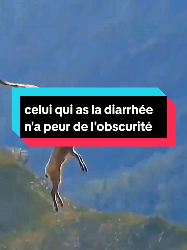 #yldever # vidéoviral# celui qui as la diarrhée n'a peur de l'obscurité#yldever 