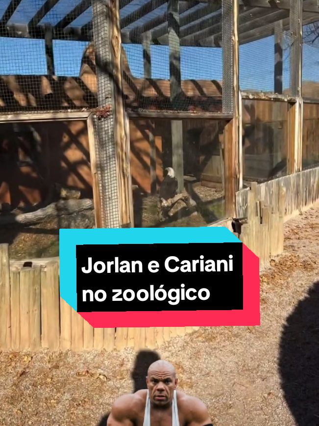 Jorlan e Cariani no zoológico #igorfina #cariani #jorlanvieira #imitação 