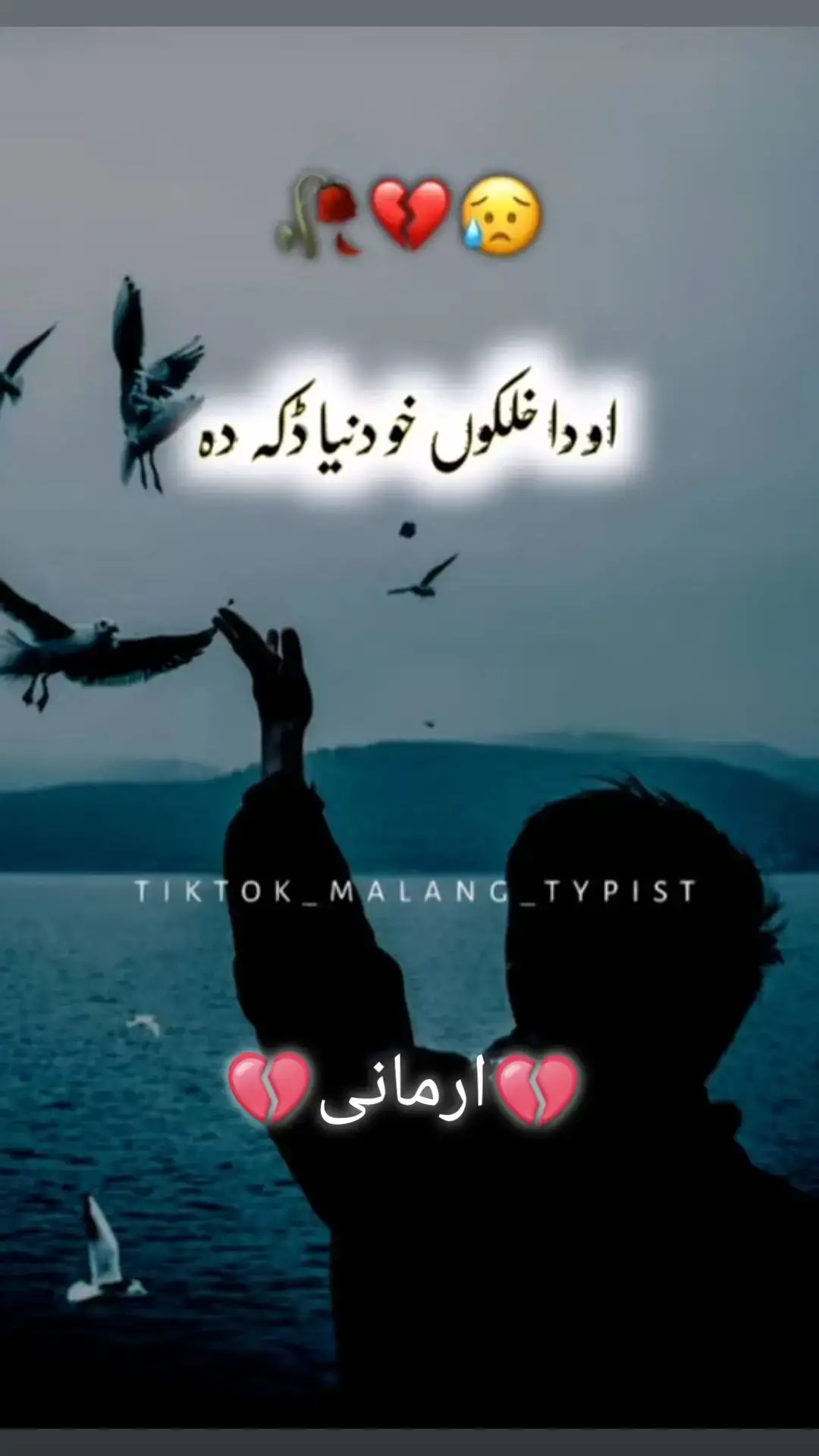 #foryou #foryourpage #unfrezzmyaccount #pashtotiktok 