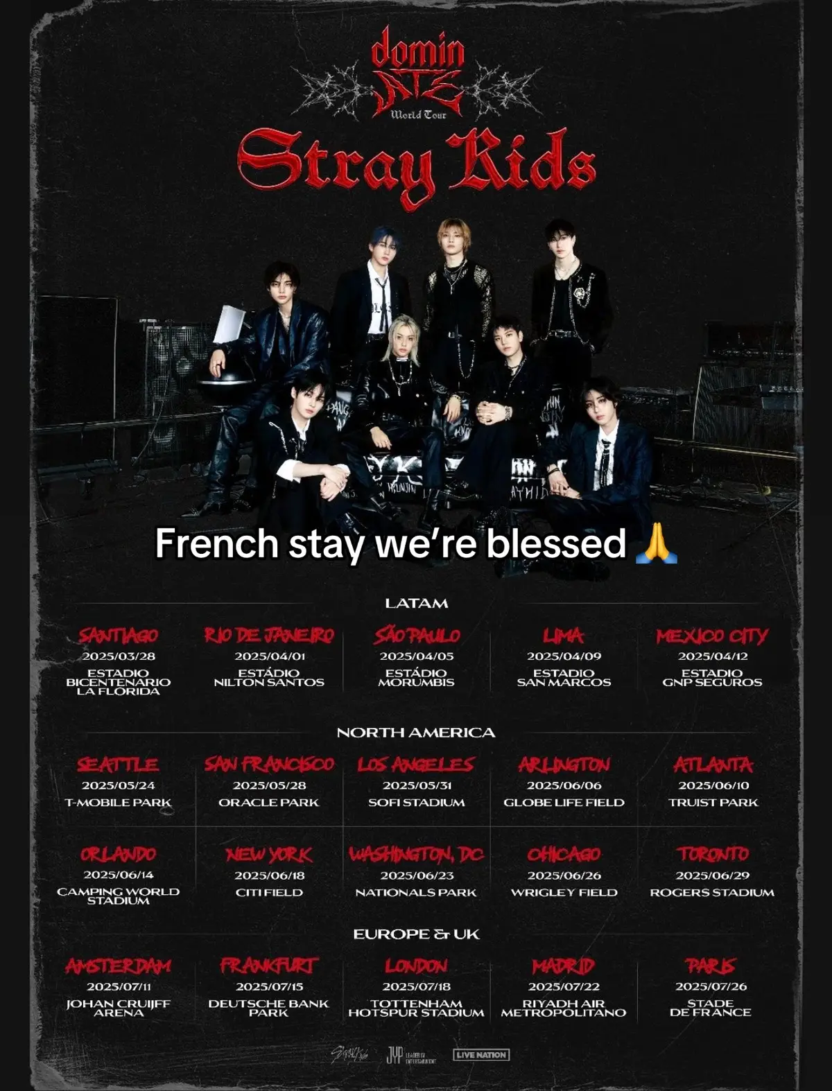 I CAN’T WAIT !!! #fyp #kpop #skz #dominateskz #worldtour #stay 