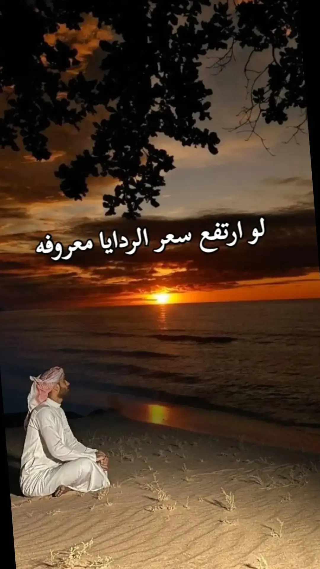 #قصايد_شعر_خواطر_شيلات #شعراء_وذواقين_الشعر_الشعبي #قصايد_شعر_بوح_كلام_من_ذهب #تصميم_فيديوهات🎶🎤🎬 