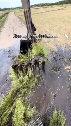I’m just gonna put that back. 🐊 Via Ang Haibo