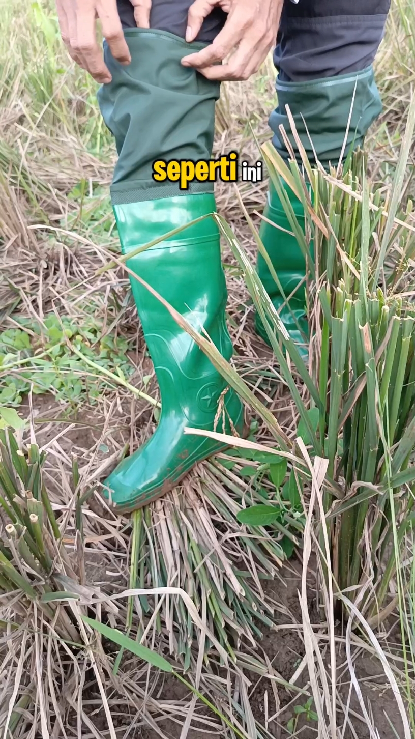 Sepatu Boots Wanita Pria Celana Sawah Panjang Anti Air Sepatu Keong Elastis #sepatusawah 