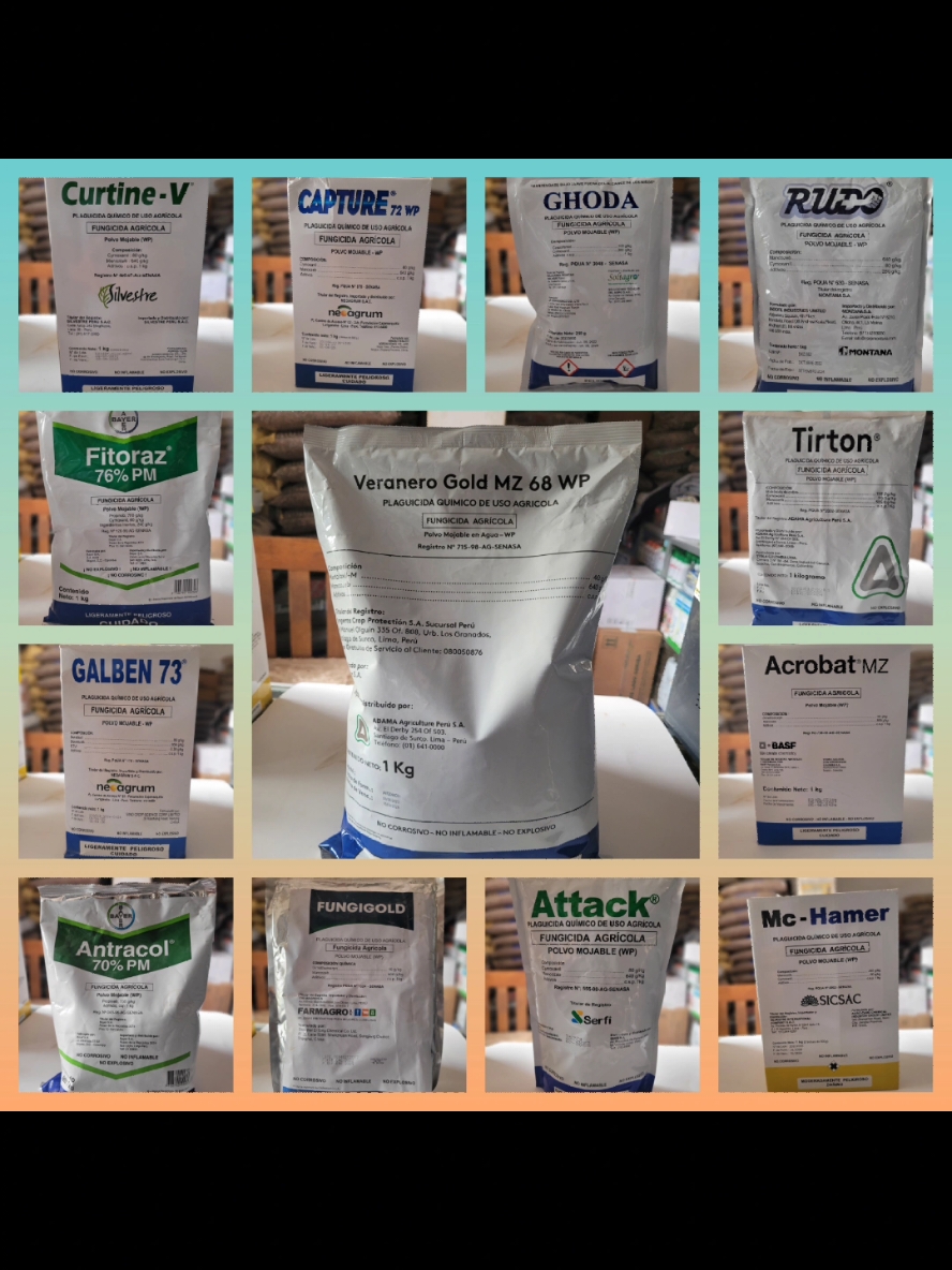 #CapCut #ambo #pesticidas #fungicidas #herbicida #insecticida #papa #rancha #enfermedad #platanero #colcha #pillao #pachitea #panao #urambiza #alcas #querojamanan #huacar #alcas #angasmarca #ayancochaalta #rinconada #maraypata #sacsahuanca #sanrafael #lluvia #huanuco_perú❤️   #tienda #huancapata #andes #agro #clientes #agronomia #agroquimicos #quimicos #campo #viral_video #unica #unicatropical #tattoo # #paratiiiiiiiiiiiiiiiiiiiiiiiiiiiiiii #pfypシ #ventas 