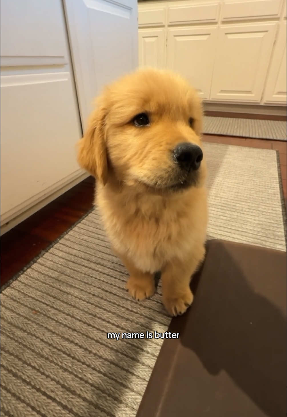 Butter’s first bath 