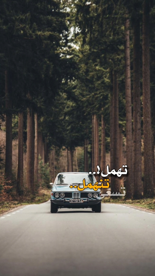 #CapCut #شعر #شعر_قصايد #شعر_ #قصايد_شعر #قصيده #شعر_حب #شعر_حزين 