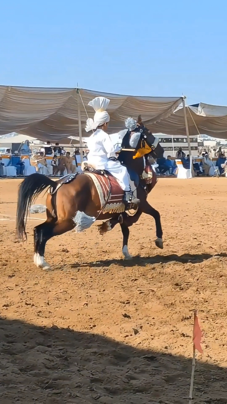 Good Boy 👍 National Championship 2024 MehriaTown Attock #NezaBazi #TentPegging #Championship #National  #2024  #MehriaTown #Attock 