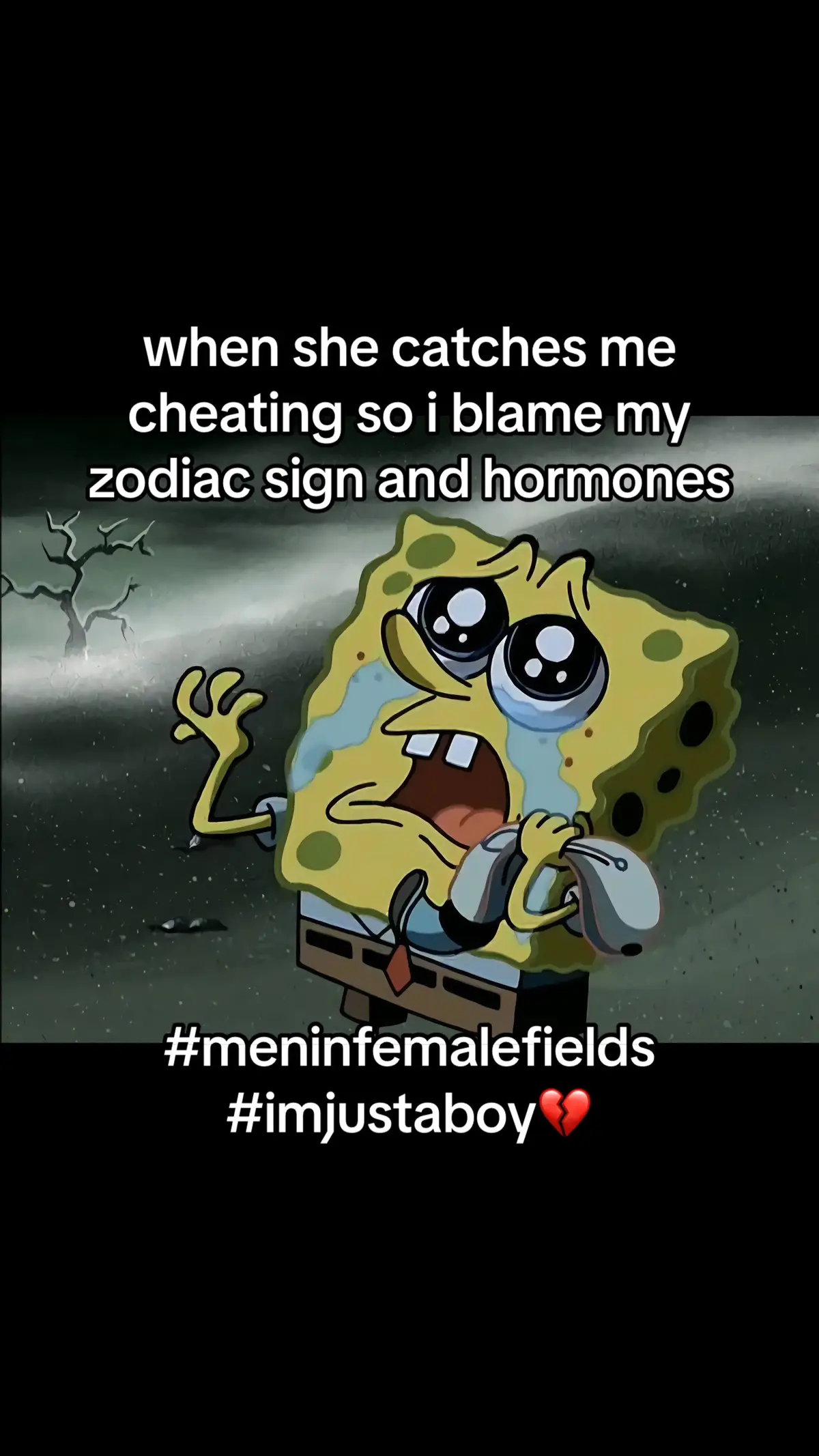 #menempowerment #menrights #queenenergy #neversettleforless #meninfemalefields #imjustaman #imjustaboy #spongebob #spongebobsquarepants 