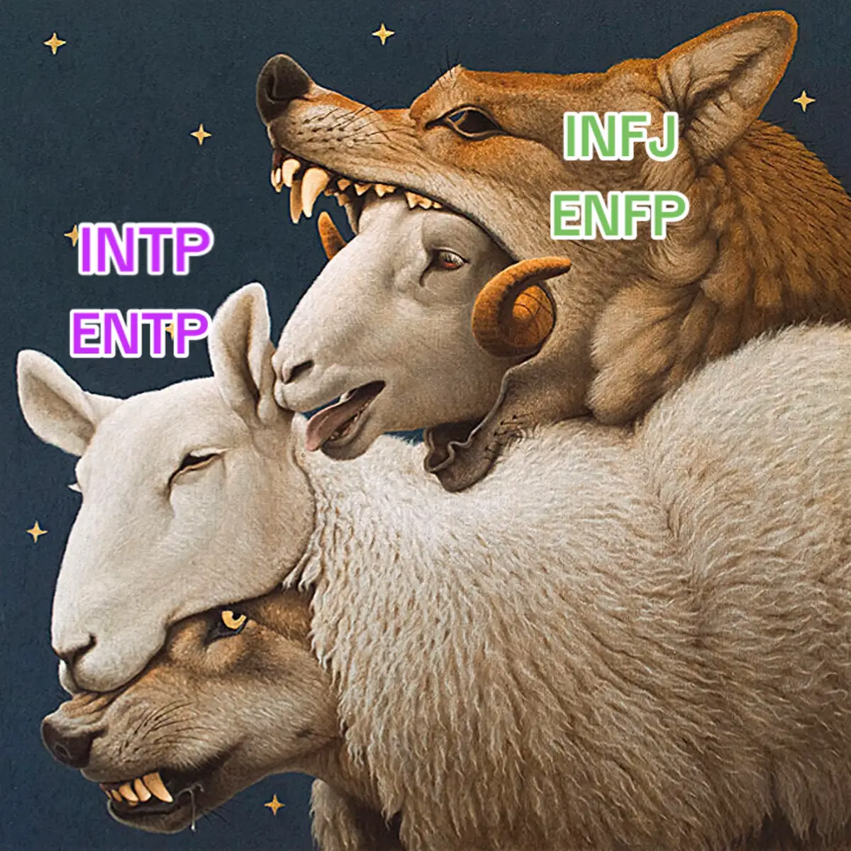 #mbti #16personalities #myersbriggs #personality #sheep #wolf #shape #blackwolf #intj #yingyang 