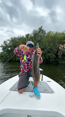 Catching a couple of fish on a super windy day. I was using a 3 inch mantis and a 3 inch ghost swimbait on my hurricane I spin hook. The link is in my bio! My boat is from @beavertailskiffs  #urbanfloridafishing #southfloridafishing #fishingvideos #freshwaterfishing #fishing #floridafishing #bassfishing #pondfishing #snakeheadfishing #canalfishing #fishtok #fishingtiktoks #fishinglife 