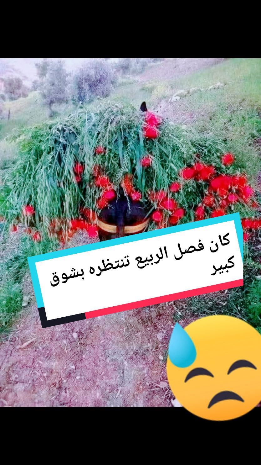 سنوات الضياع#زمن_الطيبين #ذكريات #الشعب_الصيني_ماله_حل😂😂 #اكسبلوووووور #fypage #viral #viraltiktok 