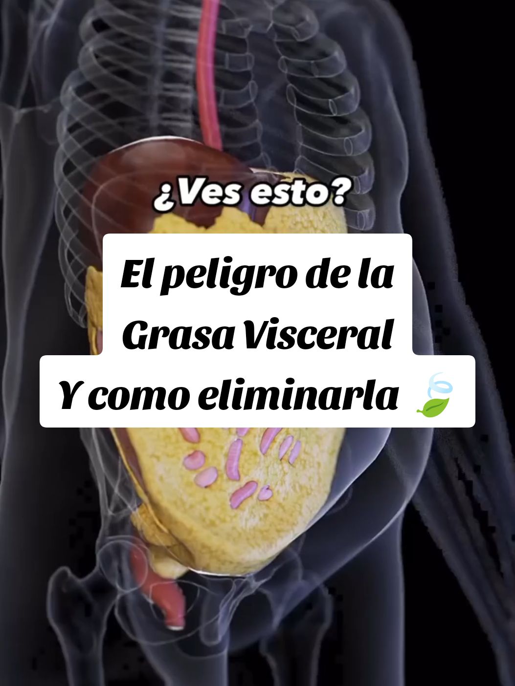 La grasa Visceral es la que se almacena alrededor de los órganos 🍃 #grasaabdominal #grasavisceral #detox #bajardepeso #bajardepesonatural 