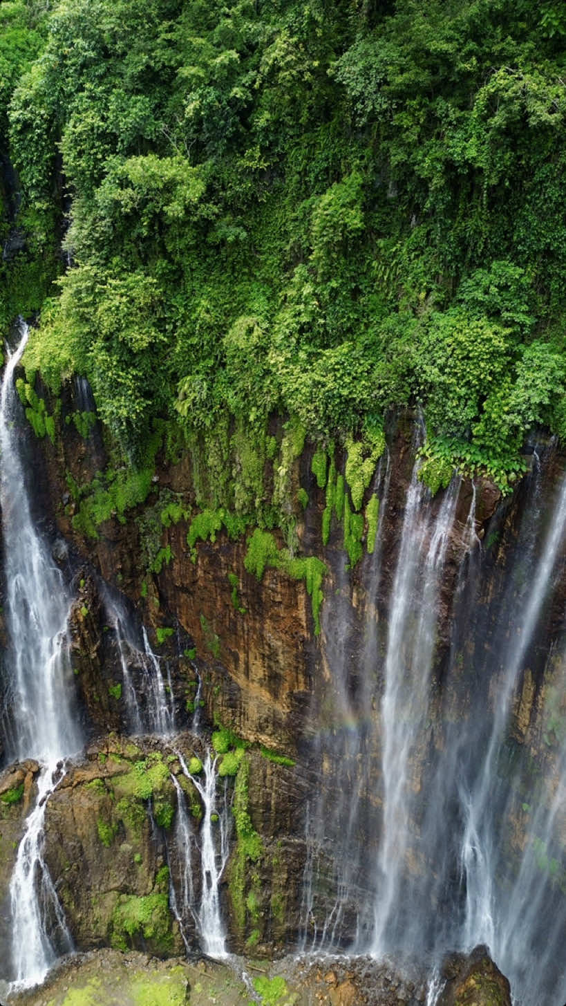 MAGNIFIQUE🥹🌿 📍 Tumpak Sewu Waterfall, Java #trend #travel #java #indonesia #waterfall #tumpaksewu #roadtrip #travelwithme #malang #beautifuldestinations #voyage #bucketlist #cascade #placestosee #placetovisit #dontmiss #drone #droneview #dronevideo #nature #discover #explore #exploretheworld #voyageur #voyageuse