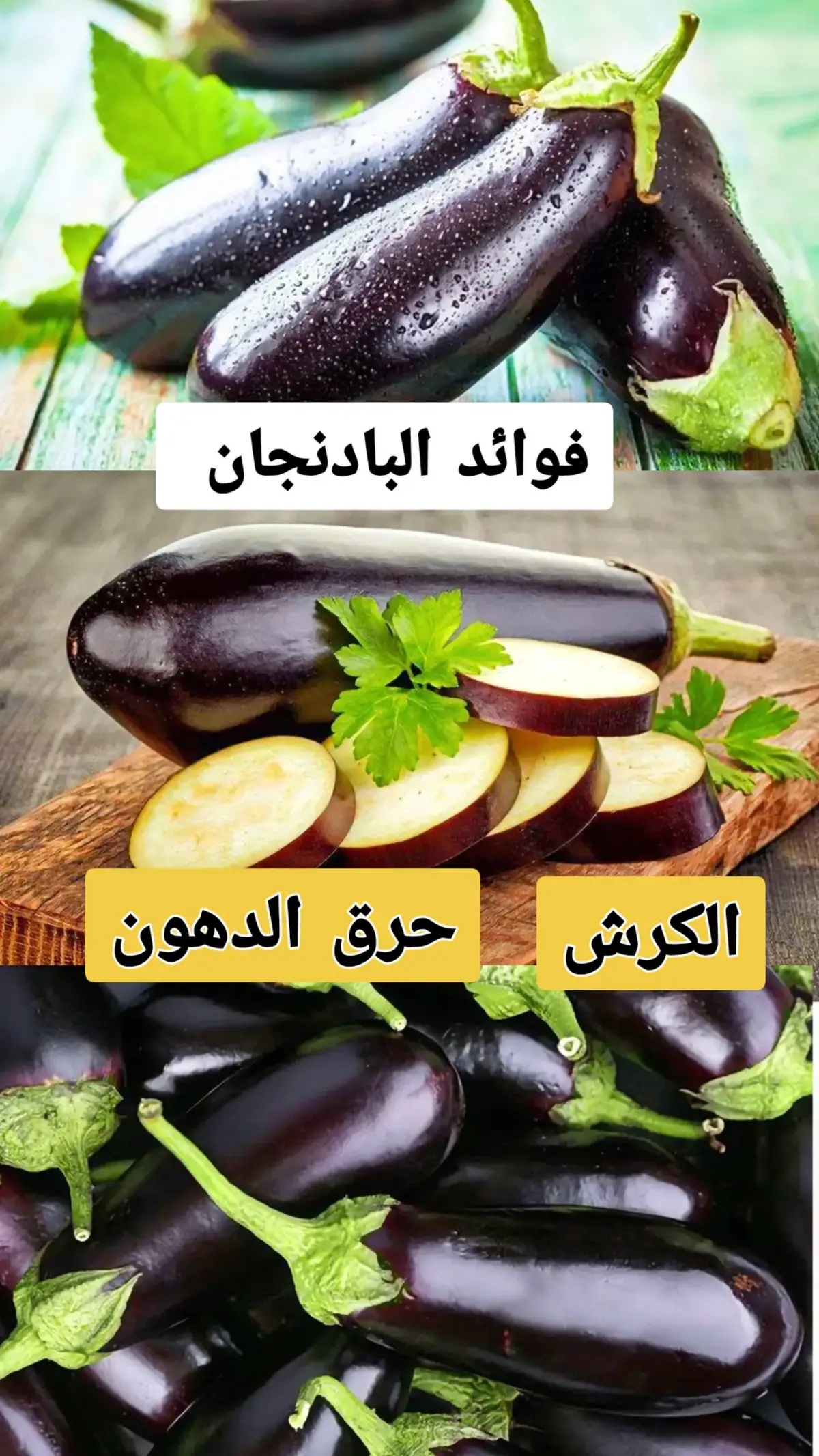 فوائد البادنجان لحرق دهون الجسم  #صحة #صحة_تغذية #فوائد_صحية #تغدية #بادنجان #حرق_دهون #fyp #اكسبلور #صلوا_على_رسول_الله #نظام_غذائي 