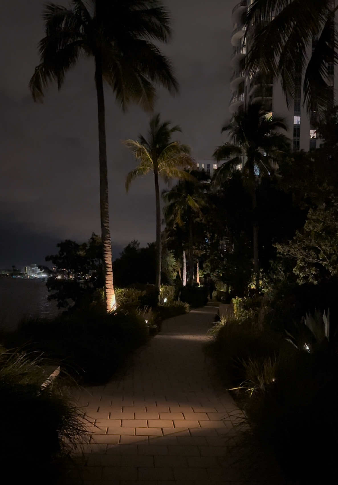 Miami nights 🌃 #miami #nights #florida #fl #miamibeach #aventura #houston #palms #view #harbor #nightout #miamilife #miaminights #vibes #views #fyp #fypシ #fypシ゚viral #fypツ #foryoupage #for #you #page #viral #viralvideo #viraltiktok #viralsound #viralsong #floridacheck #floridalife #floridaman #southflorida #follow #followers➕ 