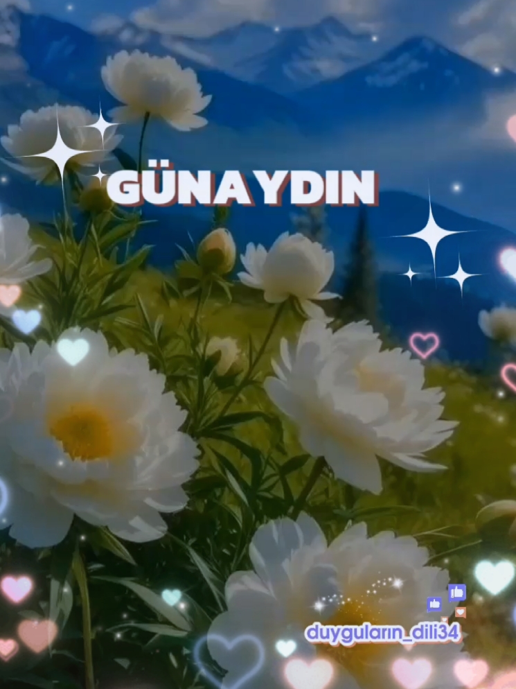 G🌼Ü🌼N🌼A🌼Y🌼D🌼I🌼N🌼 Umut dolu Sevgi dolu Huzur dolu bir gün Olsun  Bir günlük değil ömürlük Şifalarınız hep Sizlerle Olsun 🌼🍃🌼🙋‍♀️ #günaydın #mutlusabahlar 