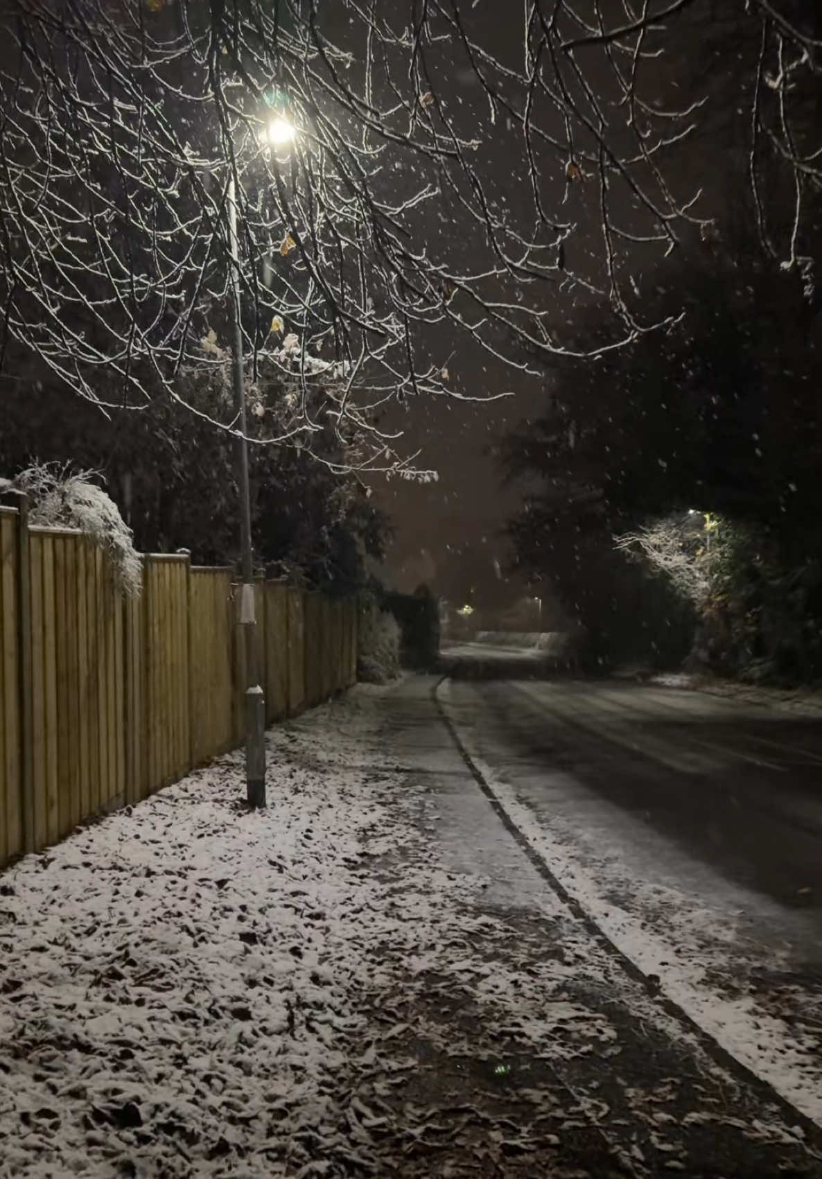 snowy walks. #snow #walks #snowywalk #nightsnow #asthetic #fyp #foryoupage #xybca #snowyaesthetic #viral_video 