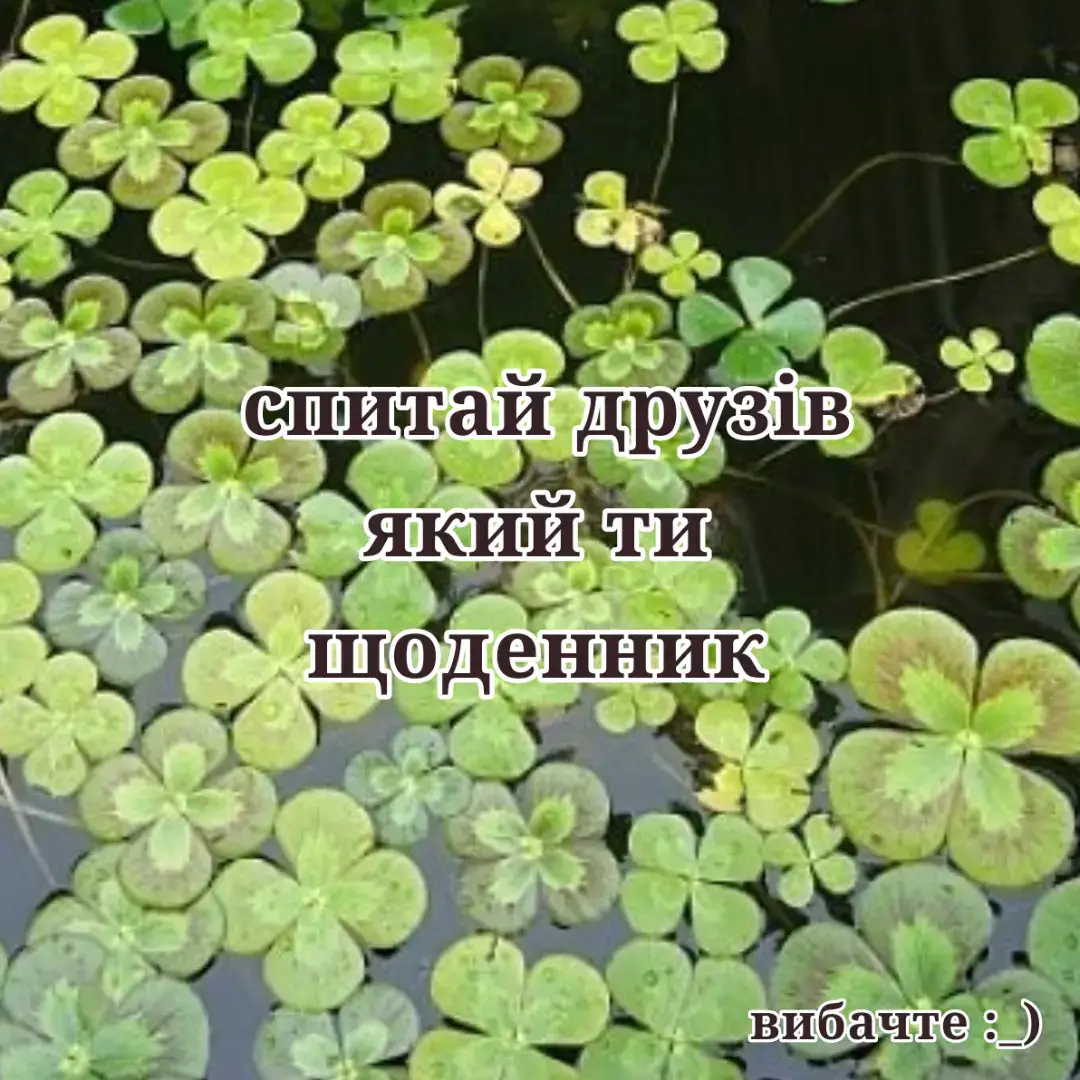 я так скоро щоденникам буду розставляти орієнтації  #щоденники #творчість #особистіщоденники #personaldiary #спитайудрузів 