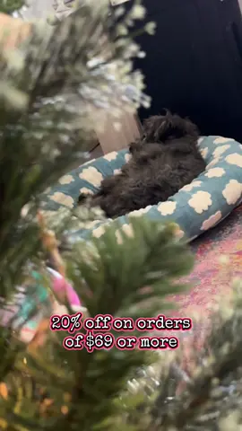 I love that the cover is waterproof and removable especially since Ocean is still a puppy! This is the perfect bed for your christmas pets to wake up to under the tree! #leasure #dogbed #petbed #tiktokshopcybermonday #cybermonday #tiktokshopblackfriday #blackfriday #PetsOfTikTok #pets #petlover #petlife #petparents #dogmom #dogdad #dogsoftiktok #dogs #dogs #puppy #pup #pupp #puppies #cat #cats #catsoftiktok #catslovers #tiktokshopfinds #christmasgiftideas #cozychristmas #holidaygifts #checkered #momtok #MomsofTikTok #momlife 