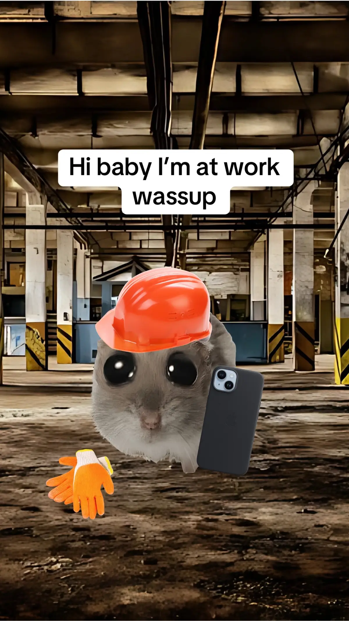 #Relationship #relatable #hamster 