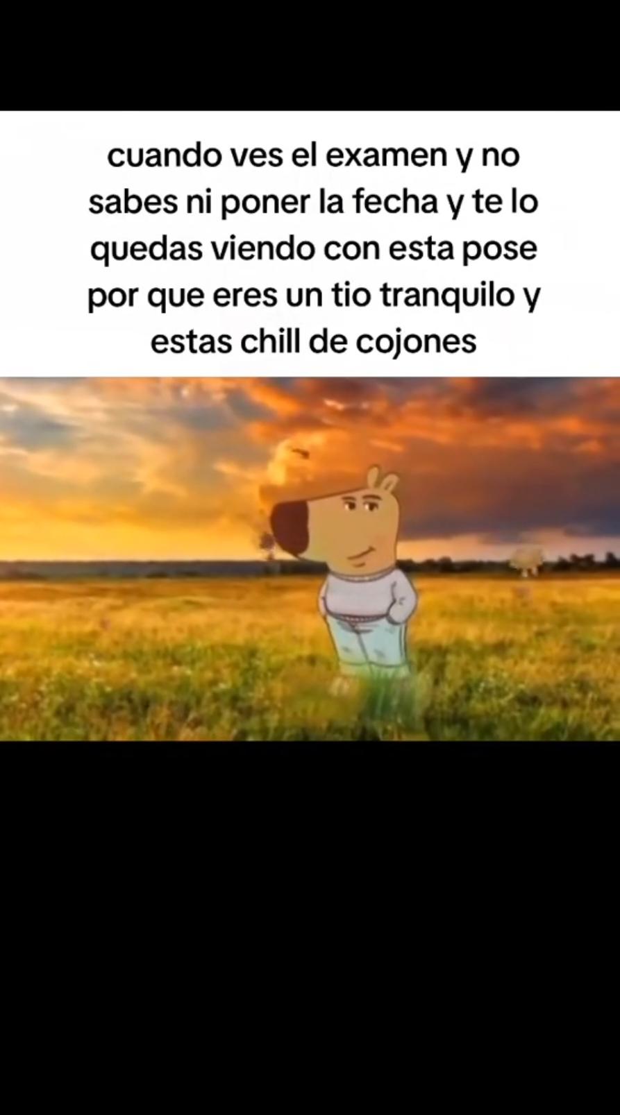 real #parati #chill #viral #españa #meme #humor #trending #fyp