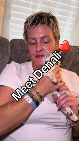 Yall please dont flood the comments with “what happened to grandmas cat?” After grandma got put in the hospital we took care of the cat for 2 weeks. We couldnt keep her. We have a cat and dog of our own. Once we found out grandma wasnt gonna get out of the hospital any time soon we had to rehome her. Mind you mom wasnt even sober at this point in time. But the cat is FINE, ill even try to get photos of her if i can. Anyway, meet DENALI. so excited for momma to have a little companion. ❤️❤️❤️ and her TOES OMG. 😍😍 #addictionrecovery #kitty #MentalHealthAwareness #addict #onedayatatime #denali #blessed #blessedandhighlyfavored #addictionrecovery #WeDoRecover #thankful #sobriety 