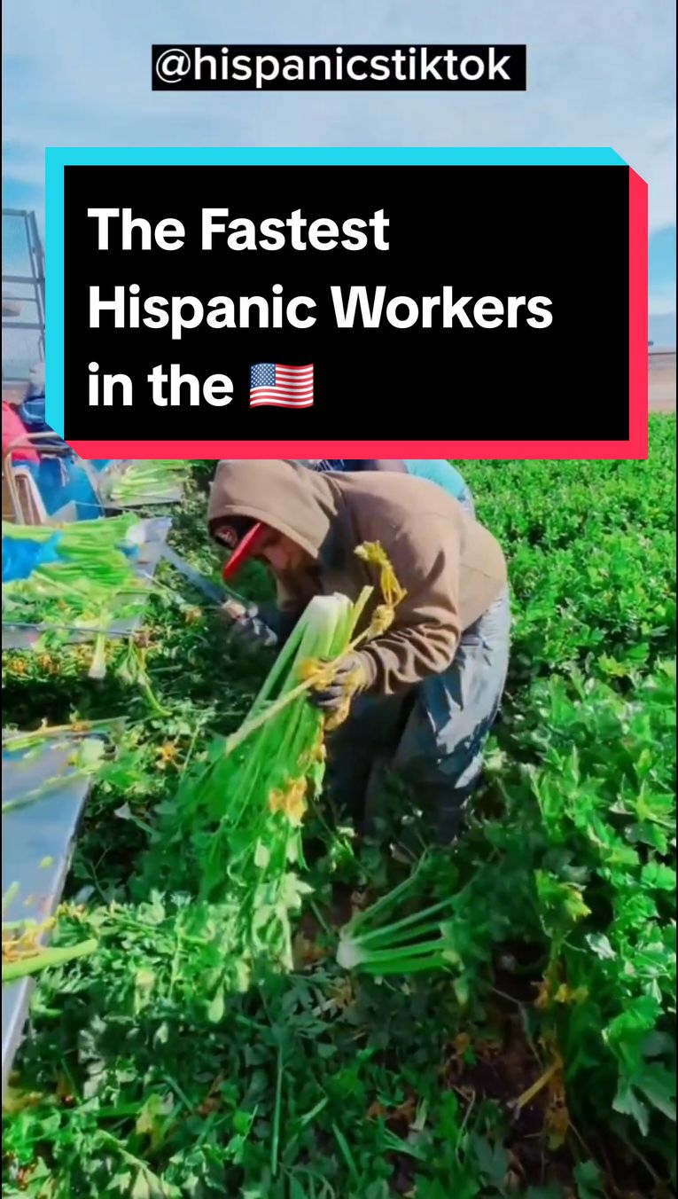 The fastest Hispanic Workers in the United States fields 