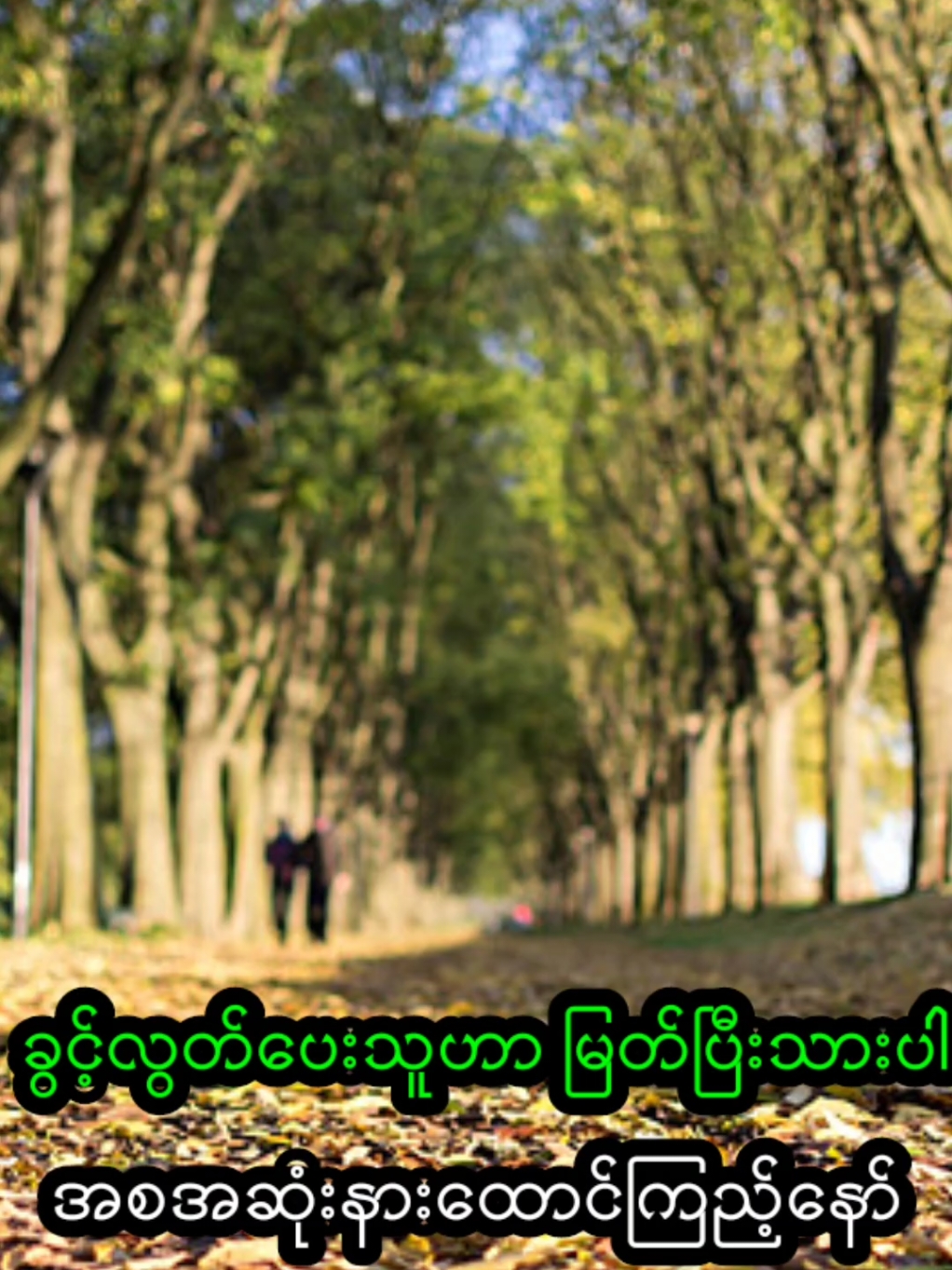 ခွင့်လွှတ်ပေးသူဟာ မြတ်ပြီးသားပါ